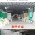 高羊茅草坪种子耐寒耐旱护坡四季常青草坪种子发芽率98%