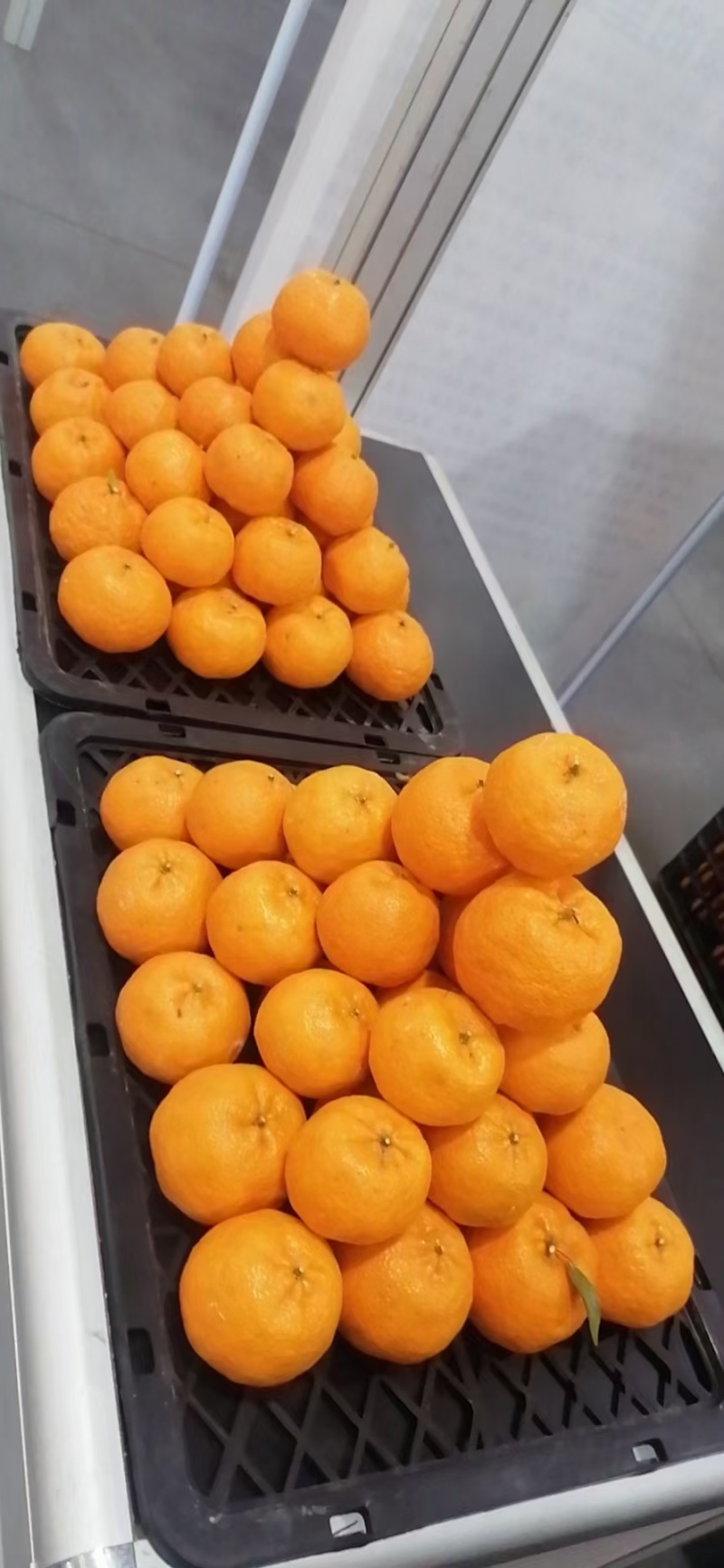 椪柑【精品】现摘现发量大价优口感好运输便利