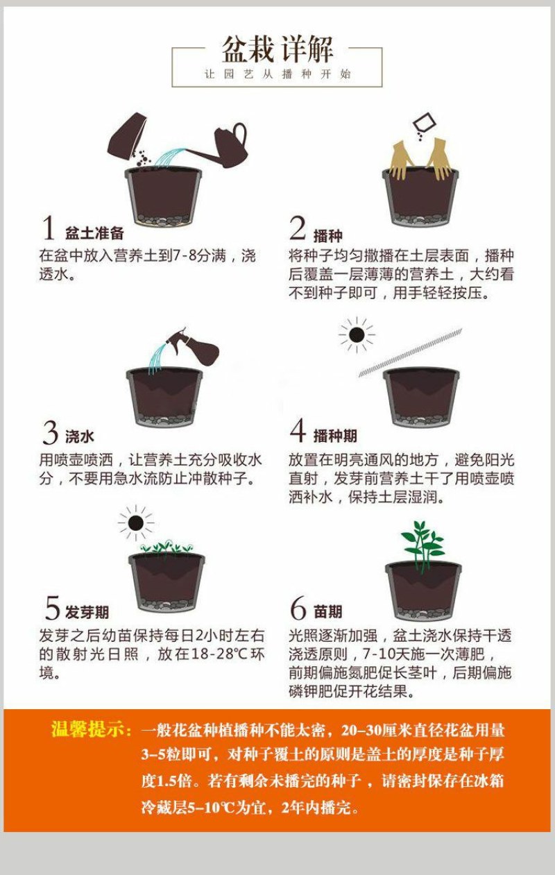 蒲公英种子发芽率99%以上新货多发芽四季可播种多年生草本