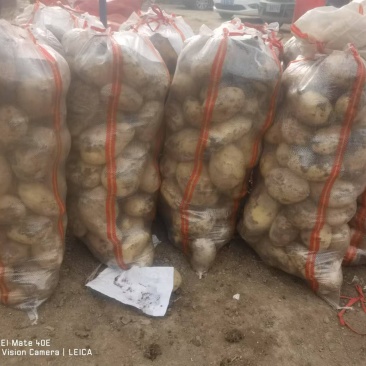 河南通许冷库沃土三两起货源充足价格实惠全国发货