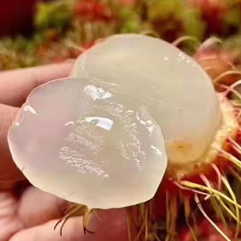 当季新鲜红毛丹现摘水果整箱毛荔枝孕妇水果热带水果整箱批发