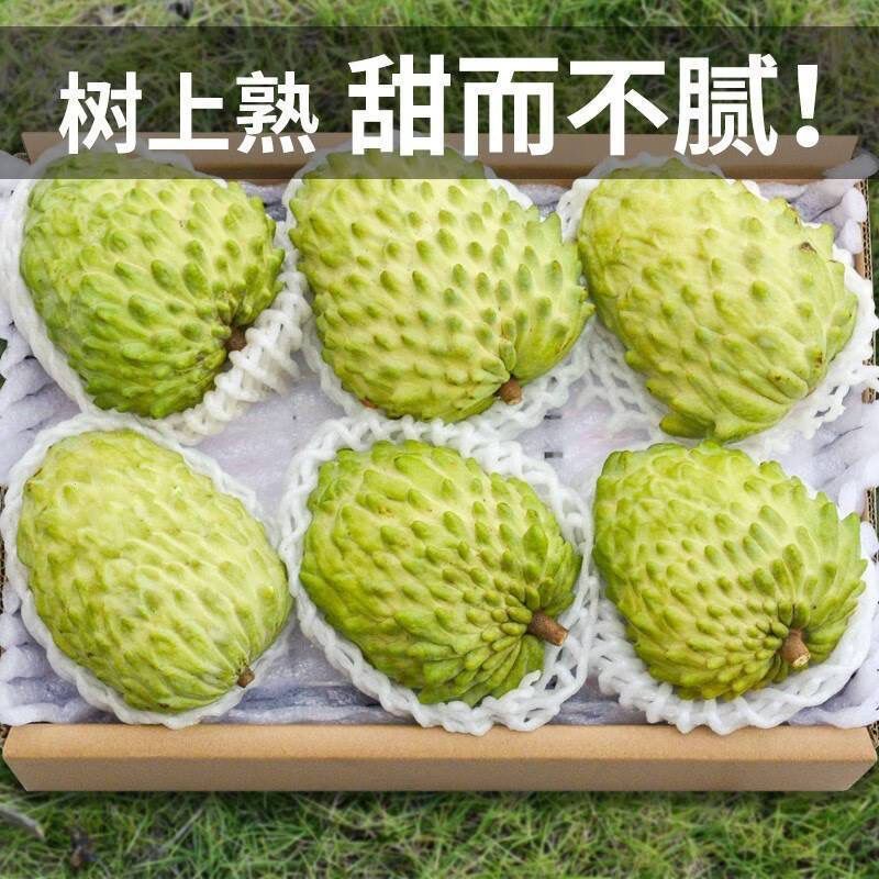 新鲜牛奶当季水果释迦凤梨摩尼果番荔枝佛头整箱林檎批发包邮