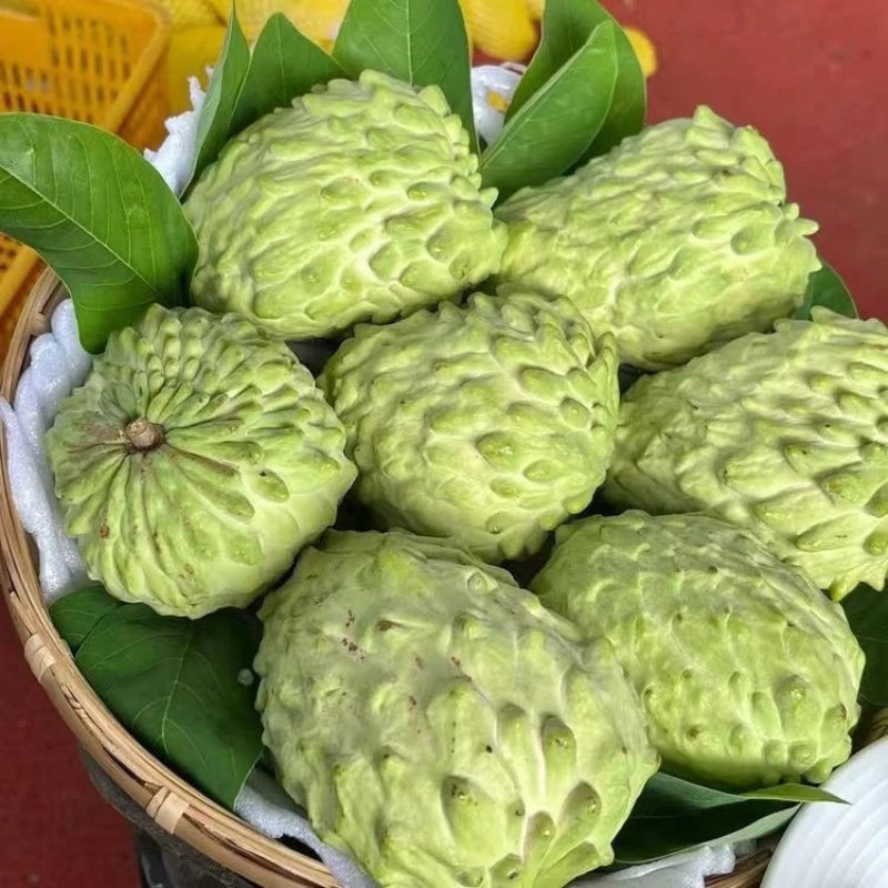 新鲜牛奶当季水果释迦凤梨摩尼果番荔枝佛头整箱林檎批发包邮