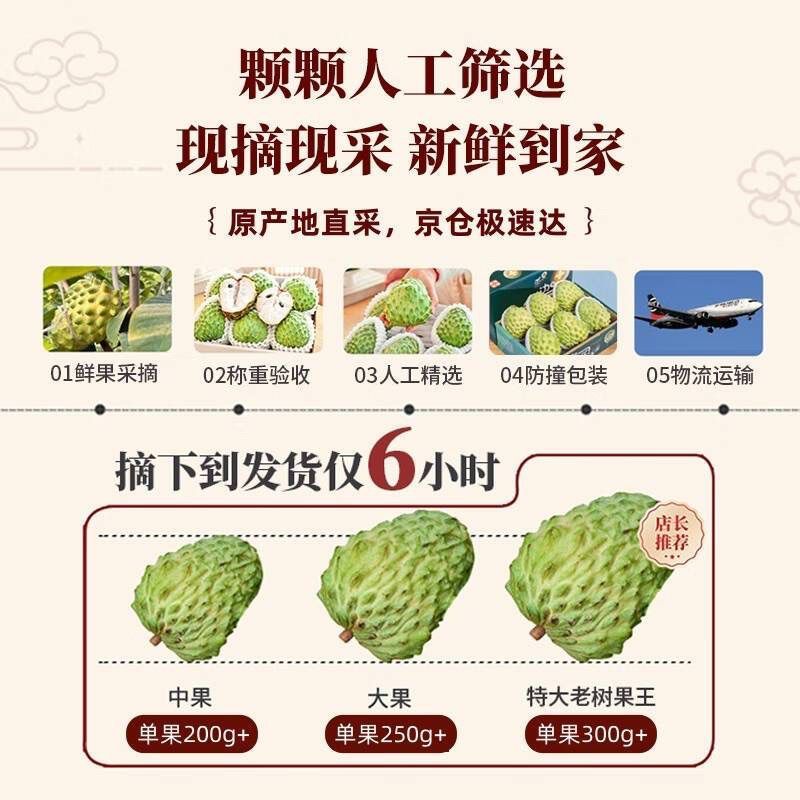 新鲜牛奶当季水果释迦凤梨摩尼果番荔枝佛头整箱林檎批发包邮