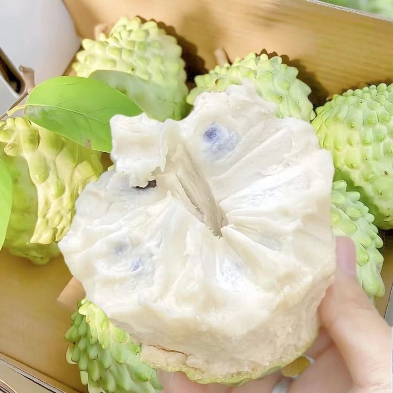新鲜牛奶当季水果释迦凤梨摩尼果番荔枝佛头整箱林檎批发包邮