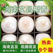 【精选大果】海南椰青新鲜椰子现摘孕妇水果椰汁椰肉2/4/