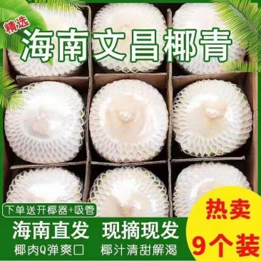 【精选大果】海南椰青新鲜椰子现摘孕妇水果椰汁椰肉2/4/