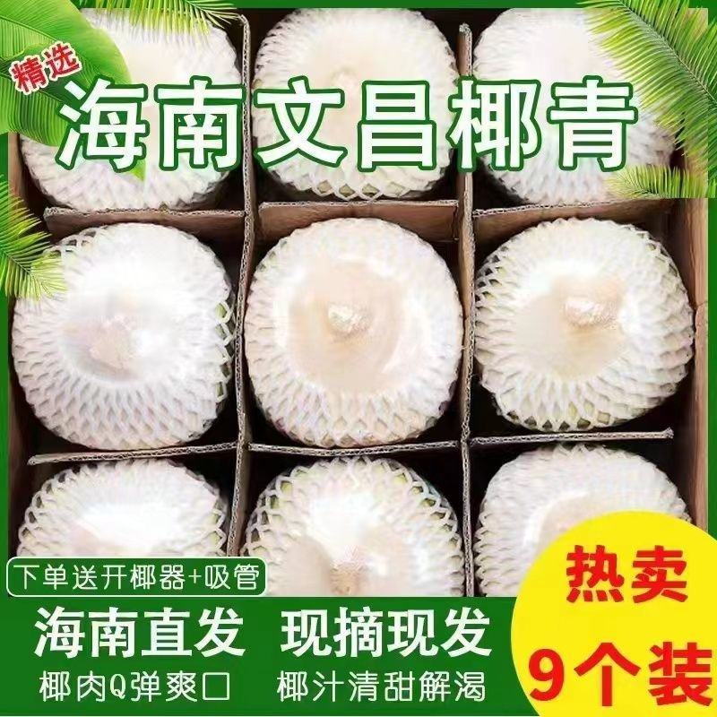 【精选大果】海南椰青新鲜椰子现摘孕妇水果椰汁椰肉2/4/