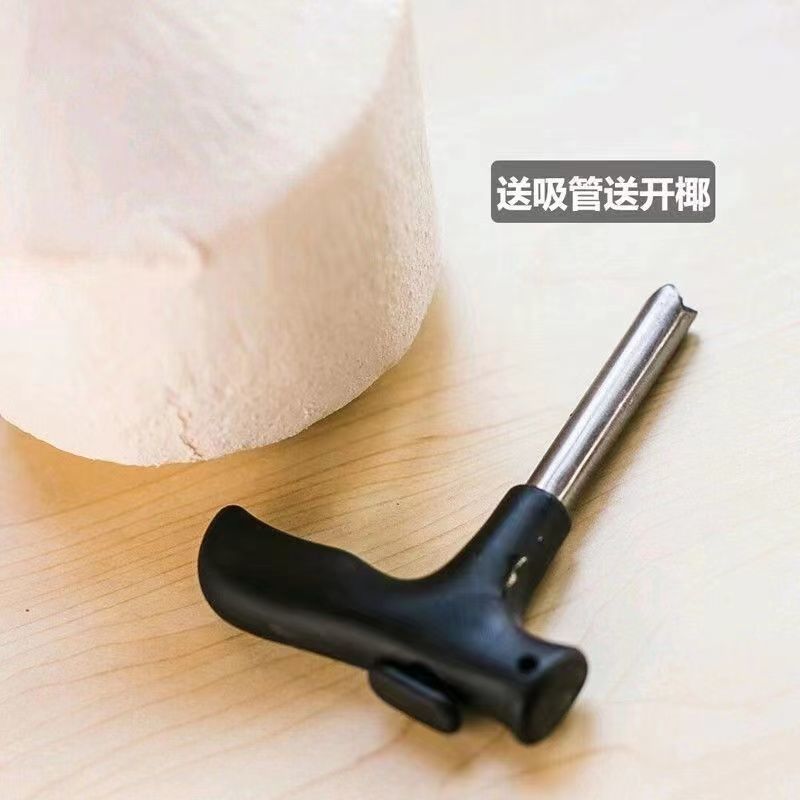 【精选大果】海南椰青新鲜椰子现摘孕妇水果椰汁椰肉2/4/