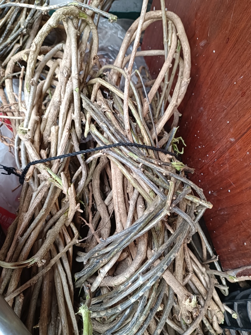 白英粗藤精选野生年份老藤白毛藤蜀羊泉排风藤中药材产地直销