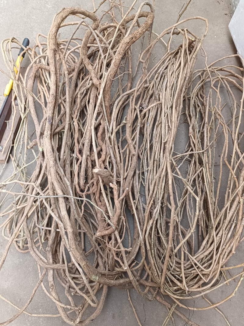白英粗藤精选野生年份老藤白毛藤蜀羊泉排风藤中药材产地直销