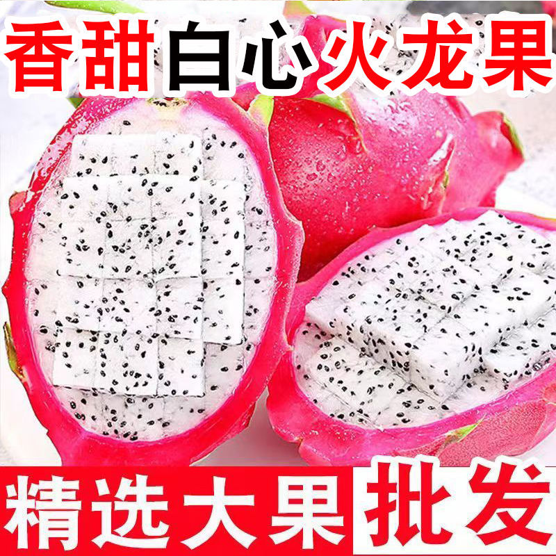 【批发价】白心火龙果10斤一整箱包邮应季新鲜水果直供超甜