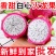 【批发价】白心火龙果10斤一整箱包邮应季新鲜水果直供超甜
