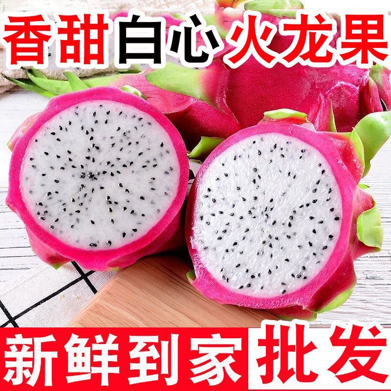 【批发价】白心火龙果10斤一整箱包邮应季新鲜水果直供超甜