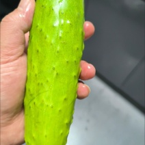 新鲜水果黄瓜现摘农家旱黄瓜生吃蔬菜当季刺青瓜脆嫩小黄瓜包