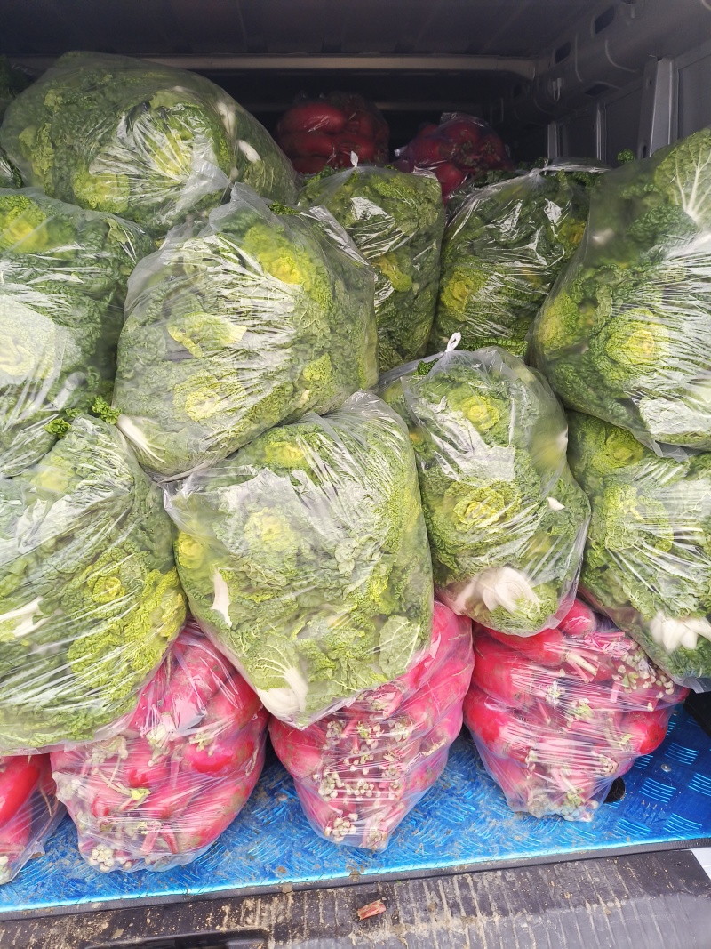 黄心乌白菜，匊花心，乌塌菜