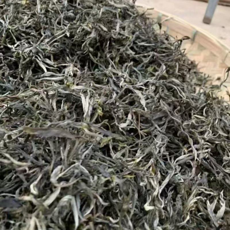 高山普洱景东茶