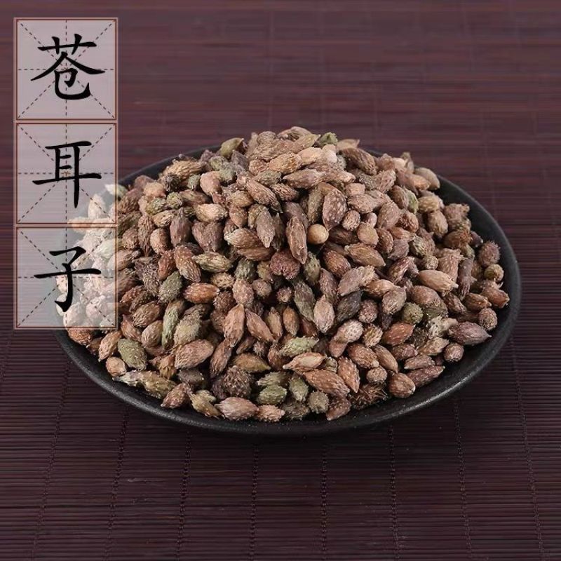 【苍耳子】苍耳子量大从优物美价廉产地直供