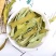 【芦荟茶】芦荟茶统新货产地直供量大从优