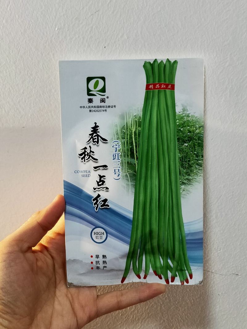 春秋一点红豇豆种子早熟植株蔓生嫩荚绿白红嘴蔬菜种子