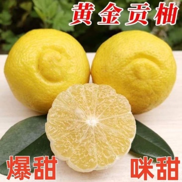 【超甜】新鲜正宗湖南怀化黄金贡柚纯甜象山青春香桔柚小柚子