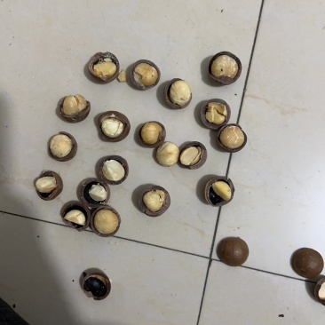 夏威夷果大抢手。支持一件代发。量大从优