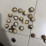 夏威夷果大抢手。支持一件代发。量大从优