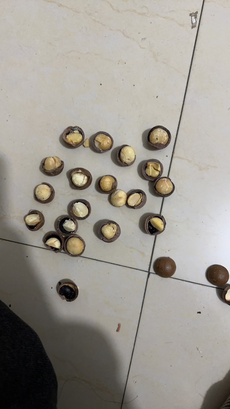 夏威夷果大抢手。支持一件代发。量大从优