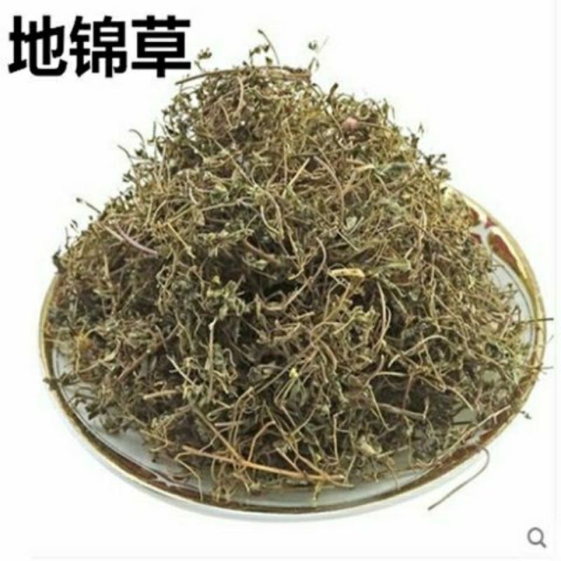 【地锦草】地锦草量大从优物美价廉产地直供