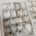三去章鱼花八爪鱼章鱼盐磨章鱼