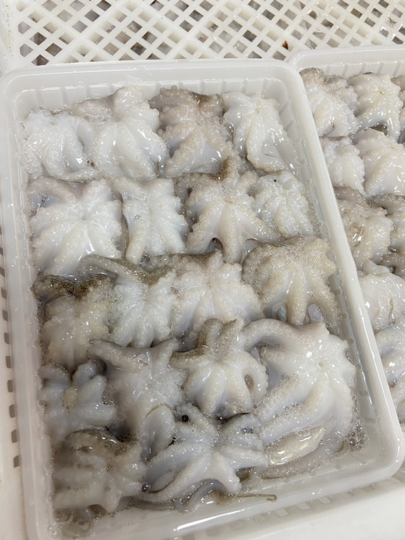 三去章鱼花八爪鱼章鱼盐磨章鱼