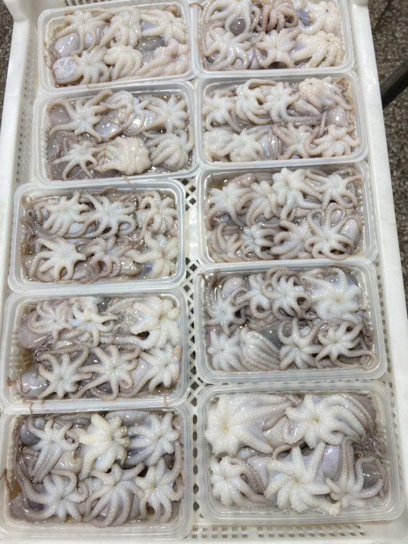 三去章鱼花八爪鱼章鱼盐磨章鱼