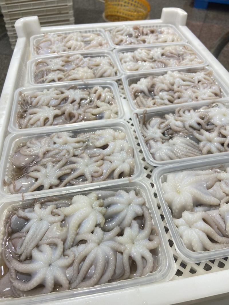 三去章鱼花八爪鱼章鱼盐磨章鱼