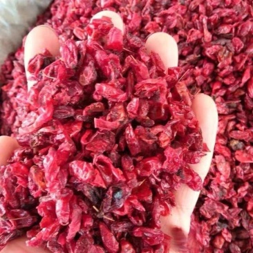 山茱萸山萸肉优质山茱萸中药材枣