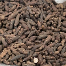 中药材香附正品生香附子香附茶生香附片