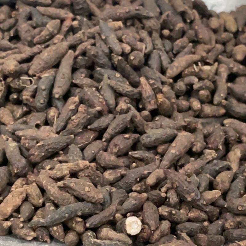 中药材香附正品生香附子香附茶生香附片