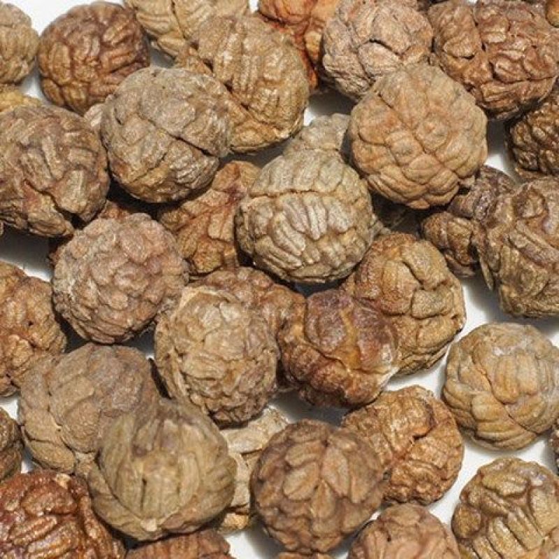 【草豆蔻】大草寇量大从优物美价廉产地直供