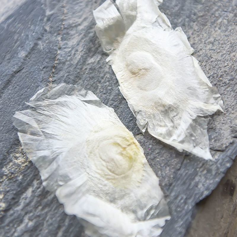 【木蝴蝶】木蝴蝶千张纸量大从优物美价廉