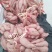 红心西瓜红蜜薯商薯19白心红薯、另有商薯19种薯可育苗