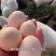 散养笨鸡蛋