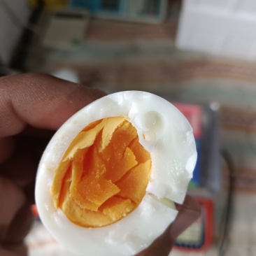 散养笨鸡蛋