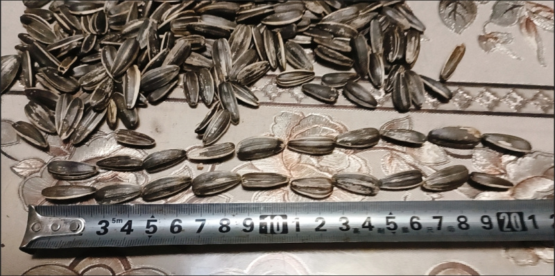 24年5斤炒熟新货水煮五香焦糖原味干炒瓜子散装批发葵花籽