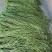 云南大理贡菜（一级）30kg