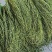云南大理贡菜（一级）30kg