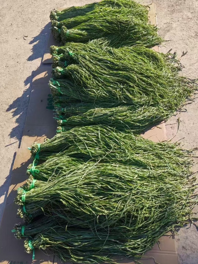 云南大理贡菜（一级）30kg