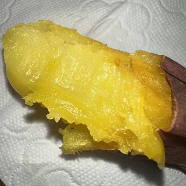 精品美秀