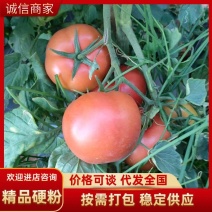 精品粉果，红果，市场，超市，电商大量共应