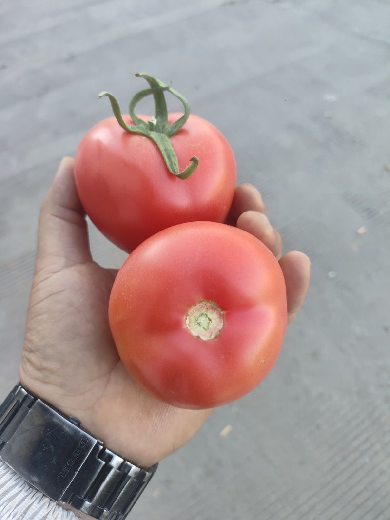 精品粉果，红果，市场，超市，电商大量共应