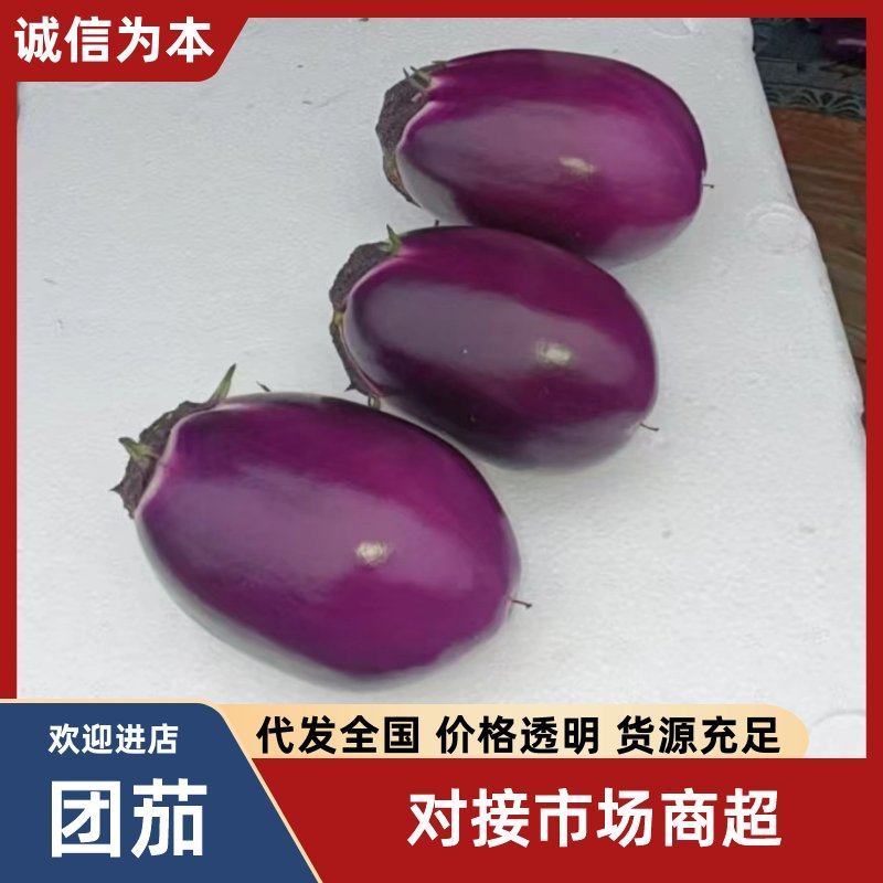 百亩基地大量供应，对接超市，市场，电商，食堂，欢迎下单