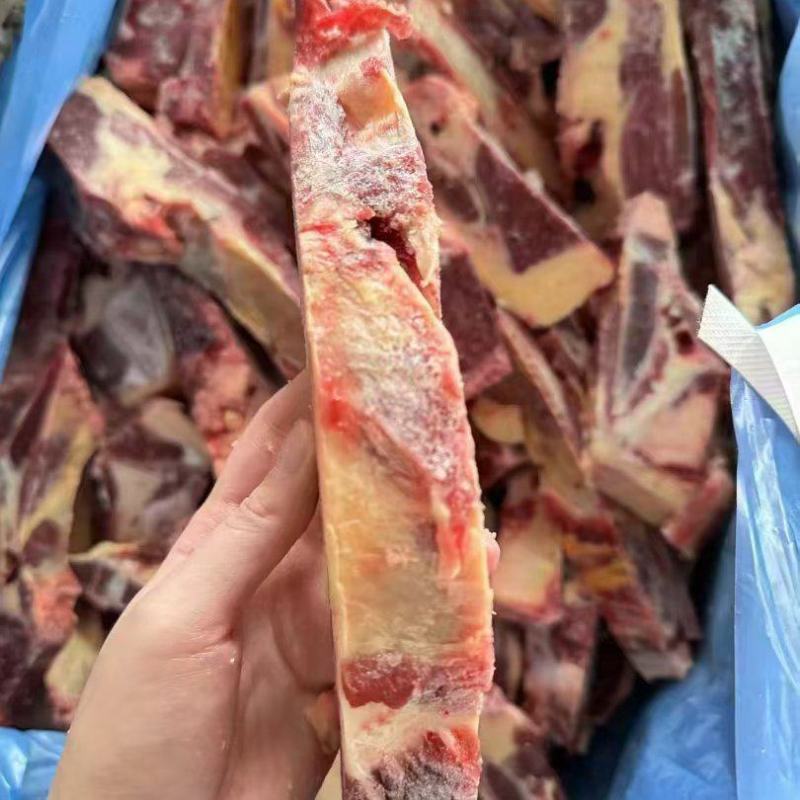 黄膘牛胸骨
